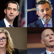 Image for article titled Republican Senators Explain Why They Opposed The Climate Bill